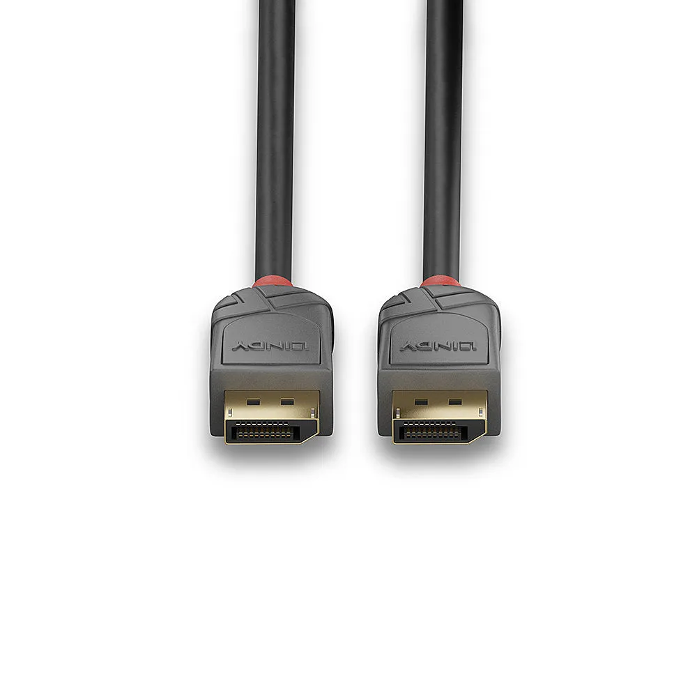 2M Displayport Cbl Anthra Line