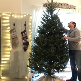 Christmas Tree Setup