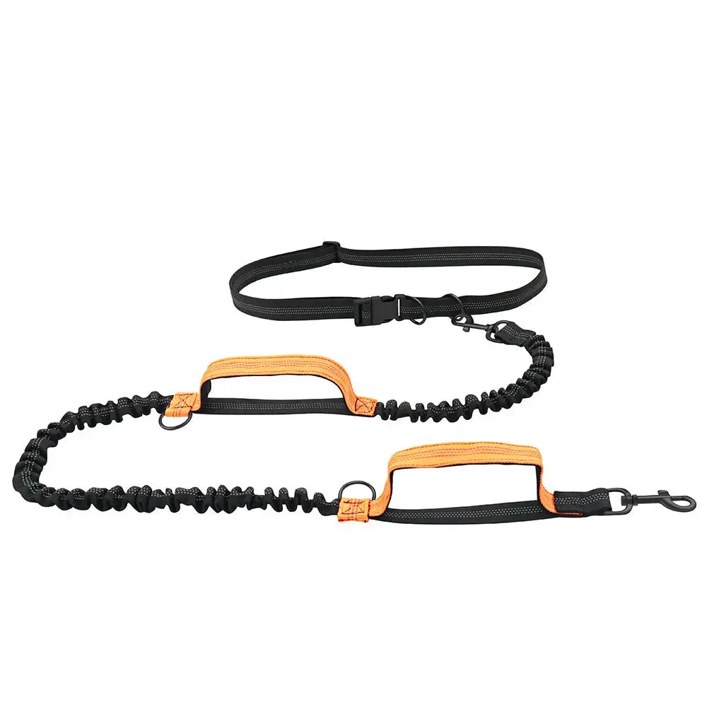 Dog Hand Holding Rope Portable Running