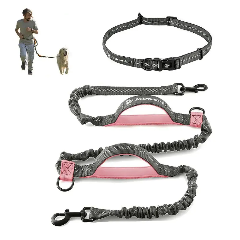 Dog Hand Holding Rope Portable Running