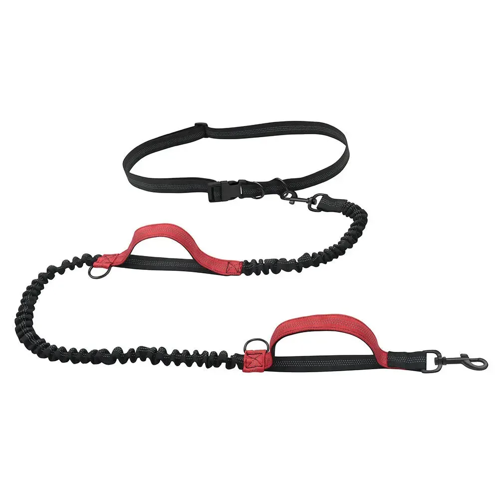 Dog Hand Holding Rope Portable Running