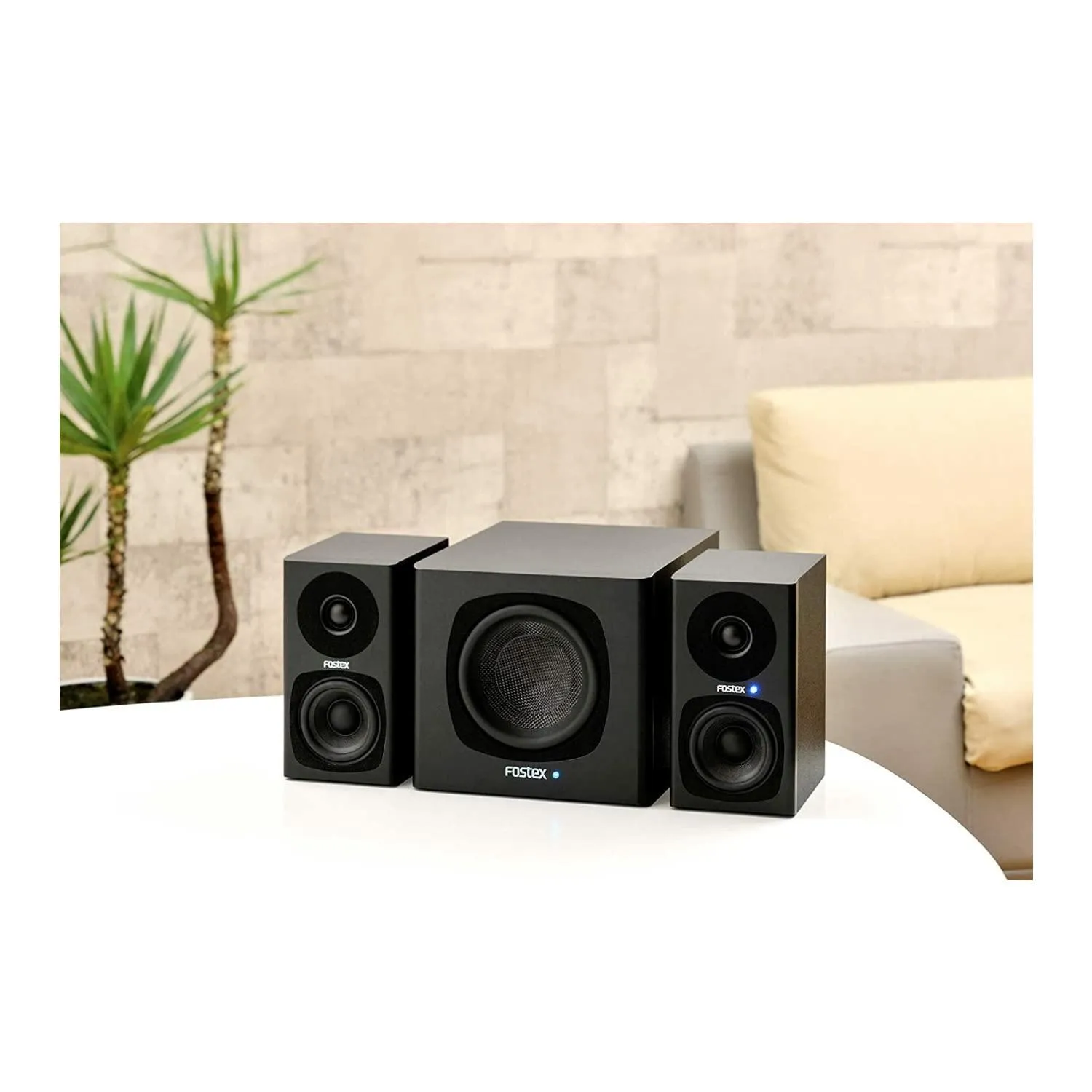 Fostex PM-Sub-MINI2 Subwoofer.