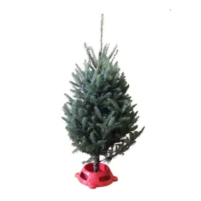 Premium Tabletop Christmas Tree